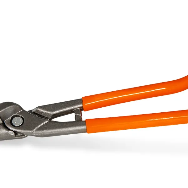 Produit CISAILLE FORGÉE "PASSE-FRANC" 260 MM - Coupe à droite Image