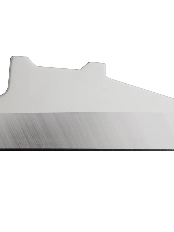 Produit LAME INOX INTERCHANGEABLE DE 130 MM POUR WOODYCUT Image